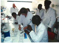 Participants à la formation aux diagnostics moléculaires de la cercosporiose noire des bananiers